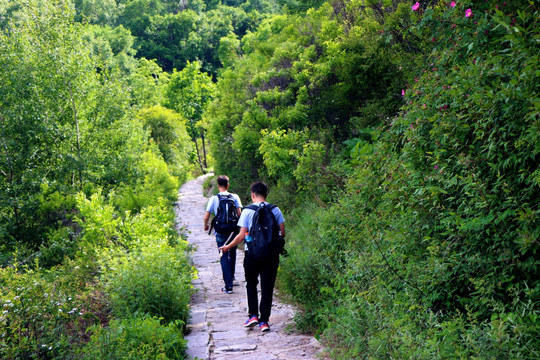 山路游客