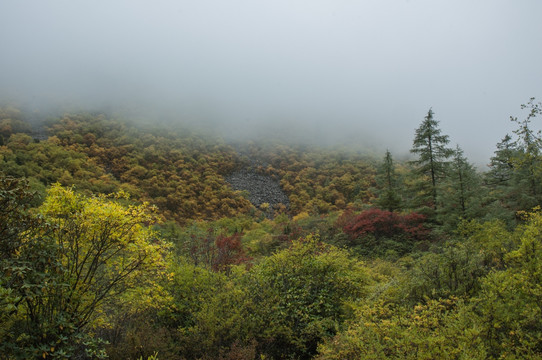 黄龙