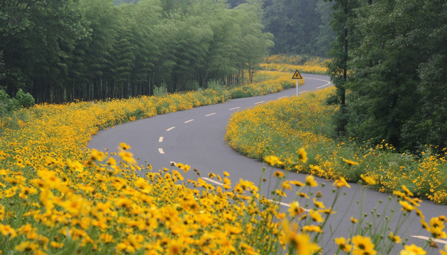 慢城南路花海