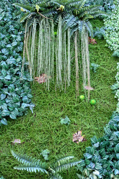 植物墙 绿叶背景 绿化墙 花纹