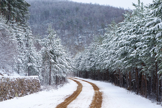 山林公路春雪