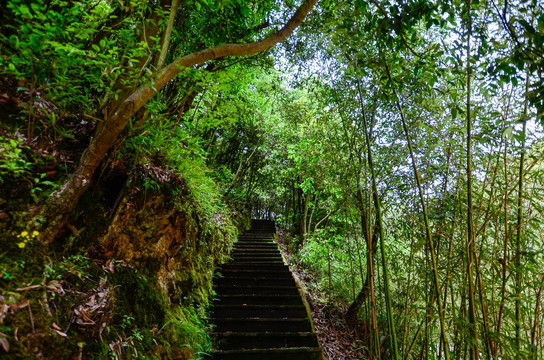 山林步道