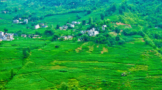 山地 山村