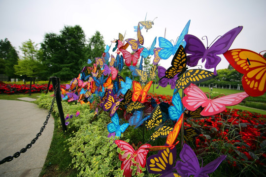 上海植物园蝴蝶装饰