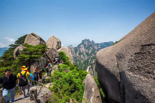 黄山奇峰怪石