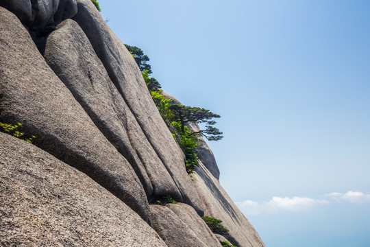 黄山奇松怪石