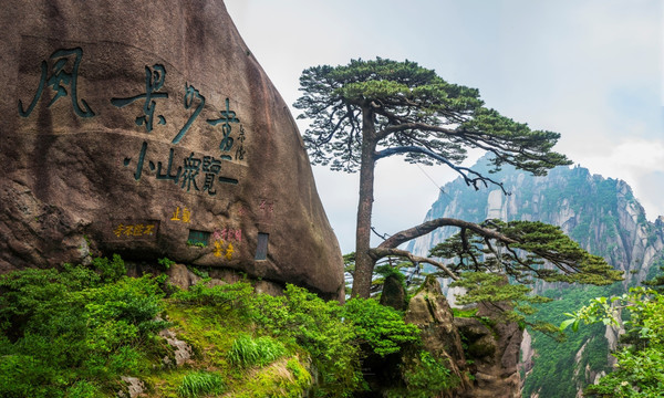 黄山迎客松全景大图