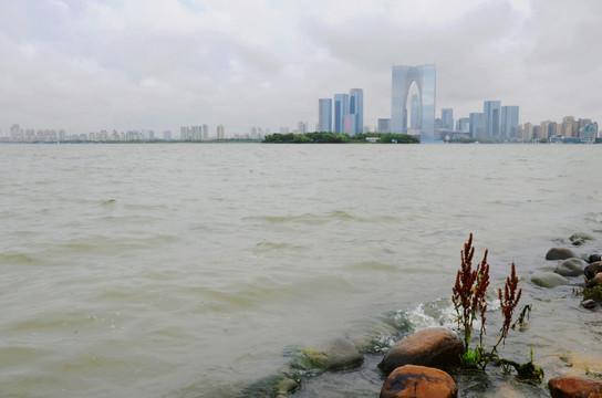 苏州金鸡湖风光