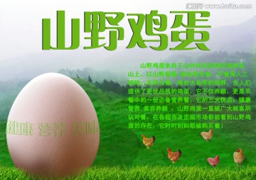 原創(chuàng)雞蛋廣告