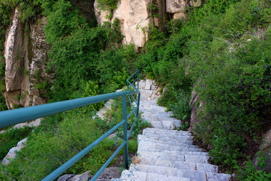 山间小路