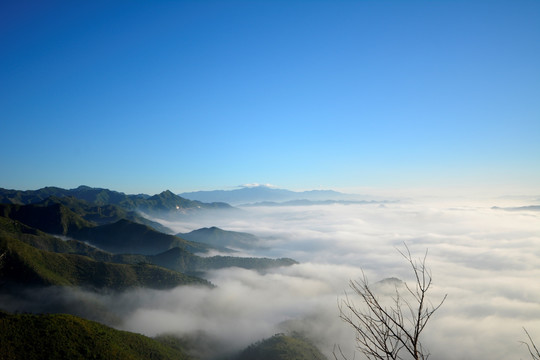 远山云海