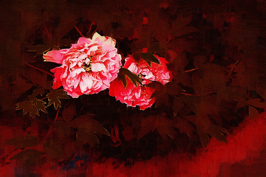 牡丹花油畫