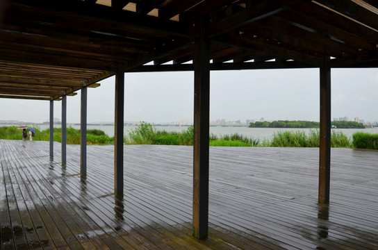 金鸡湖雨景