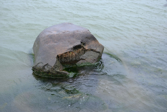 水里的石头