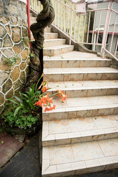 楼梯旁的鲜花
