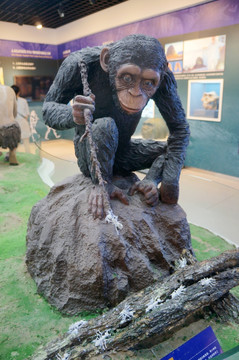 猴子的进化塑像