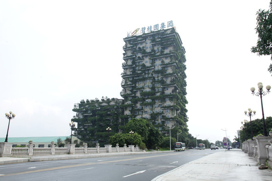 绿植 高楼