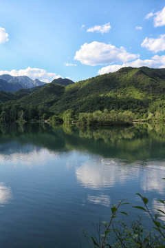 天湖山树云