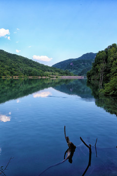 天湖山树云