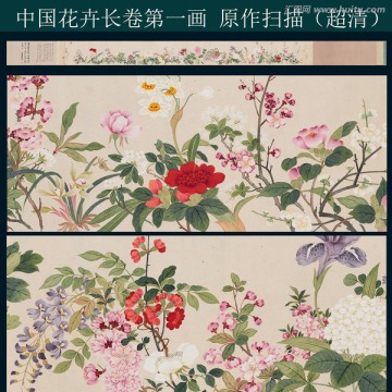 历代名画 花鸟国画（合层）