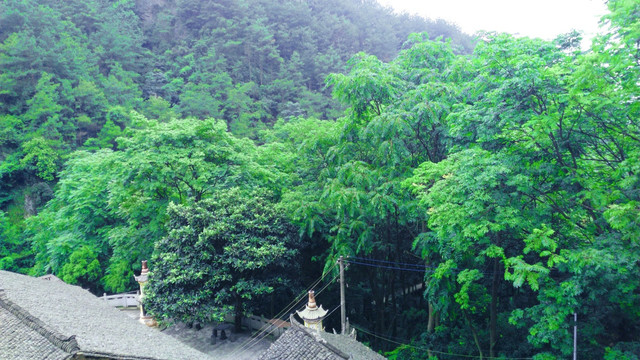 远山风景