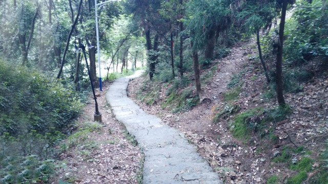 山间小路