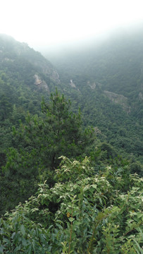 远山风景