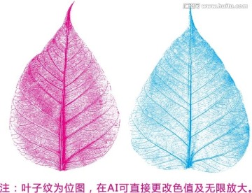 菩提葉