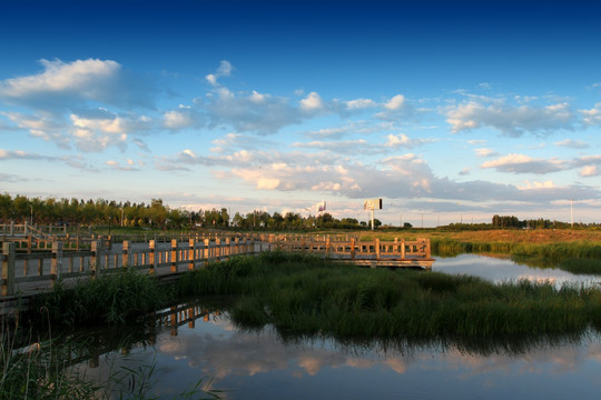 大庆 龙凤 湿地 水 傍晚