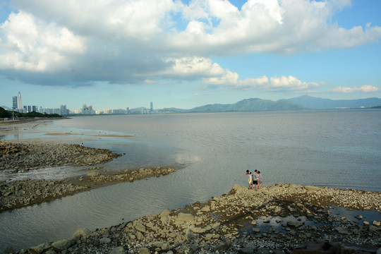 深圳红树林