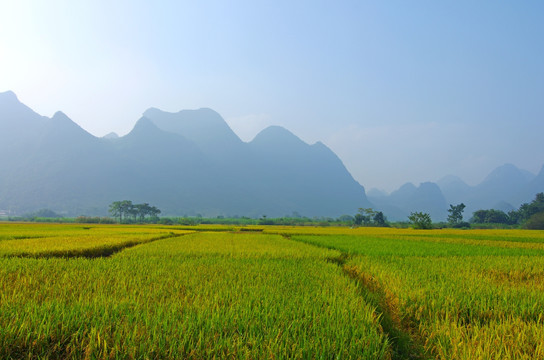 风景