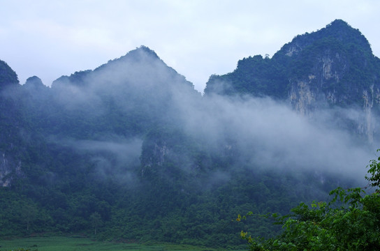 雾景