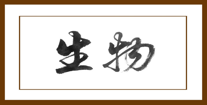 生物