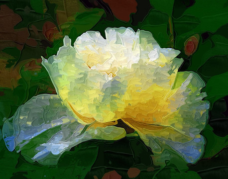 牡丹花油畫
