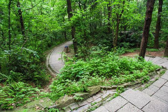 深山弯曲山路