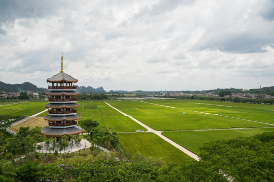 宝塔水稻田