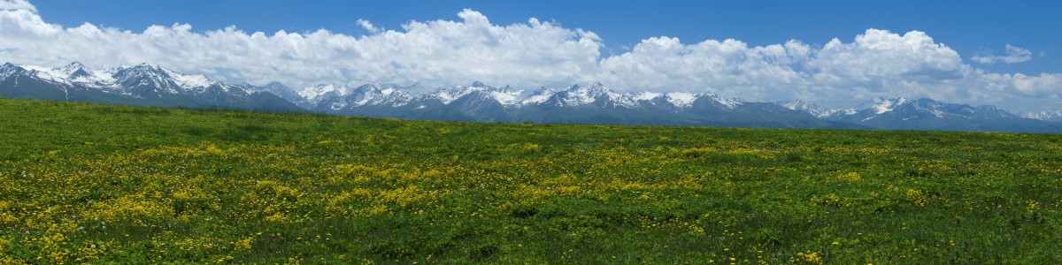 喀拉峻草原