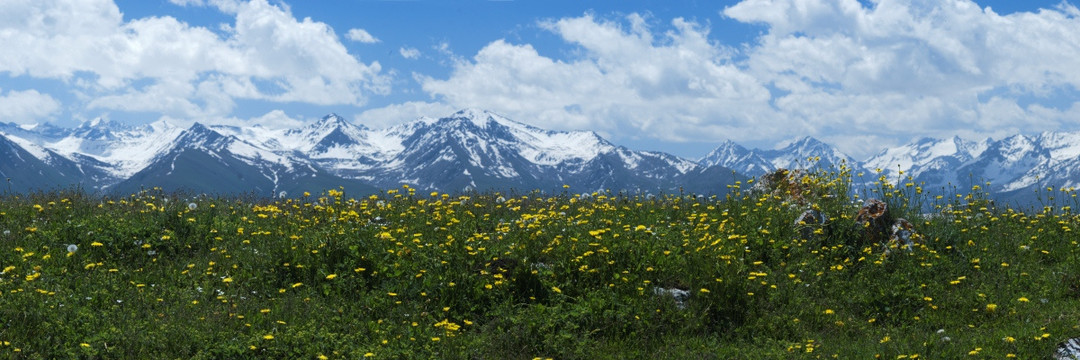 喀拉峻草原