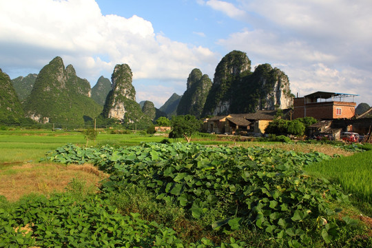 奇峰镇风光