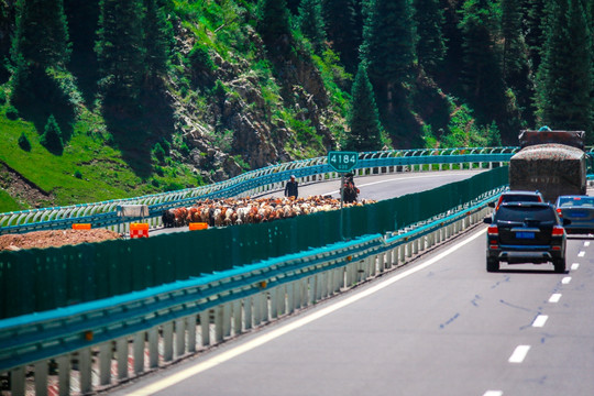 果子沟盘山蜿蜒公路