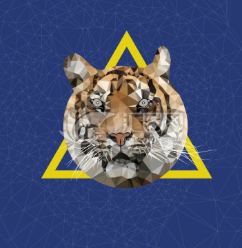動物 tiger 虎