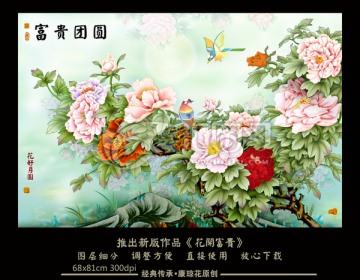 富貴花開  牡丹
