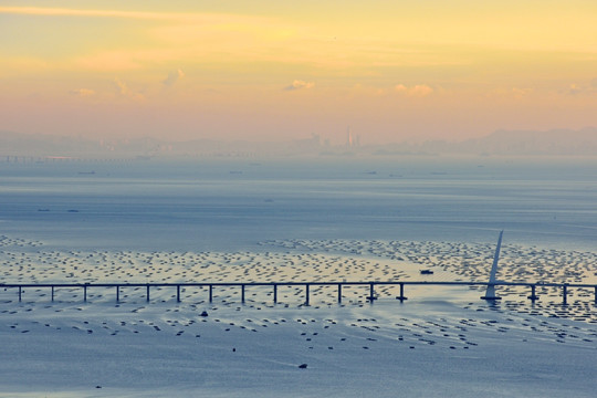 深圳湾 深港大桥