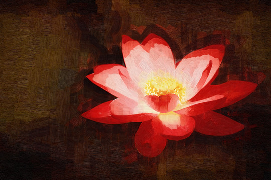 抽象畫(huà) 荷花油畫(huà) 裝飾畫(huà)