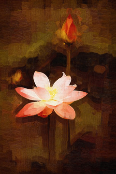 油畫(huà)荷花 無(wú)框畫(huà)