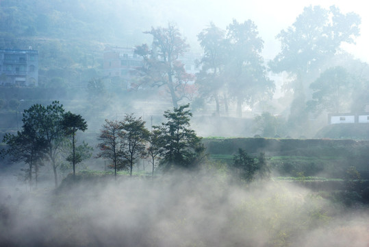 雾里乡村