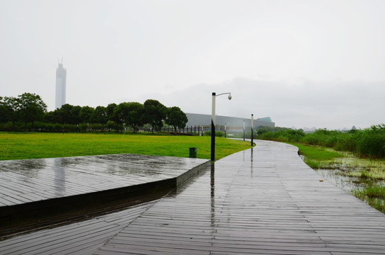 城市湿地公园雨景