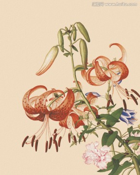 歷代名畫 花鳥國畫（未分層）