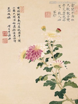 歷代名畫 花鳥國畫（未分層）