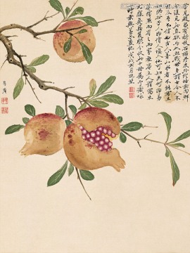 历代名画 花鸟国画（未分层）